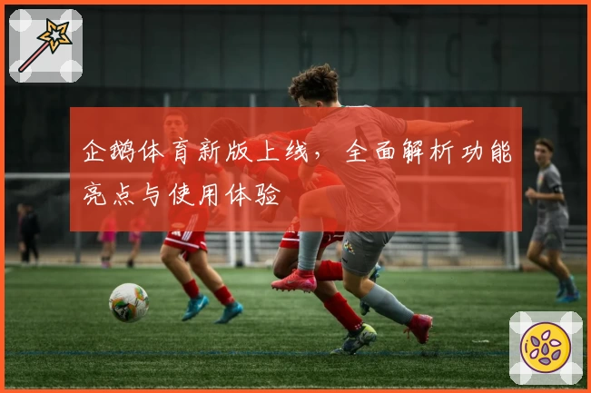 企鹅体育新版上线，全面解析功能亮点与使用体验