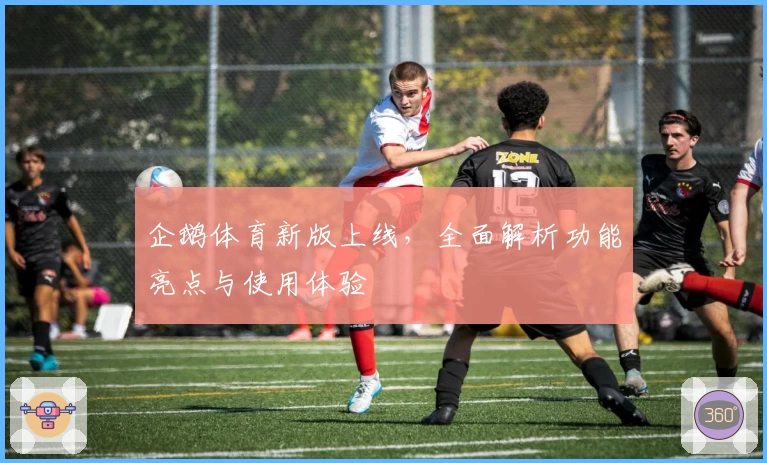 企鹅体育新版上线，全面解析功能亮点与使用体验