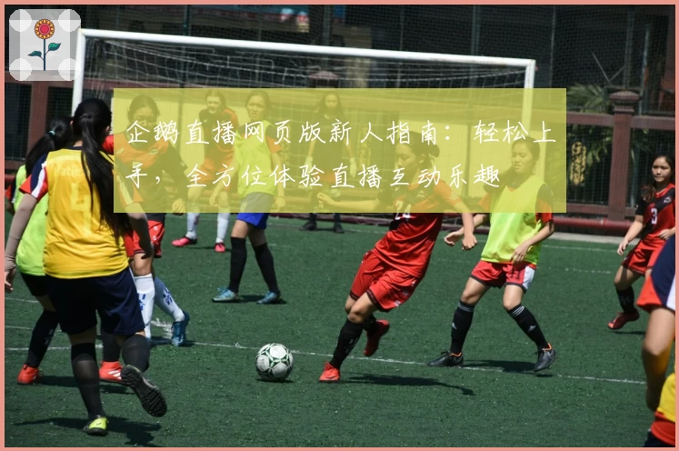 企鹅直播网页版新人指南：轻松上手，全方位体验直播互动乐趣