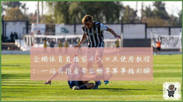 企鹅体育直播官方入口及使用教程：一站式指南带你畅享赛事精彩瞬间