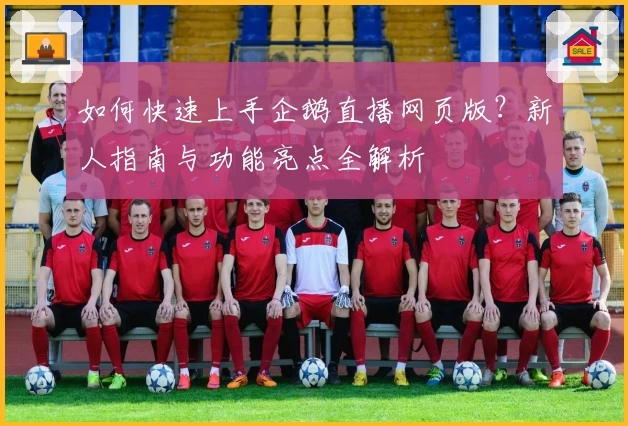 如何快速上手企鹅直播网页版？新人指南与功能亮点全解析