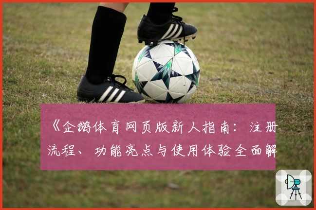 《企鹅体育网页版新人指南：注册流程、功能亮点与使用体验全面解析》