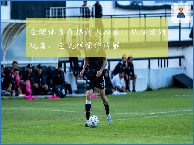 企鹅体育直播新人指南：从注册到观看，全流程操作详解