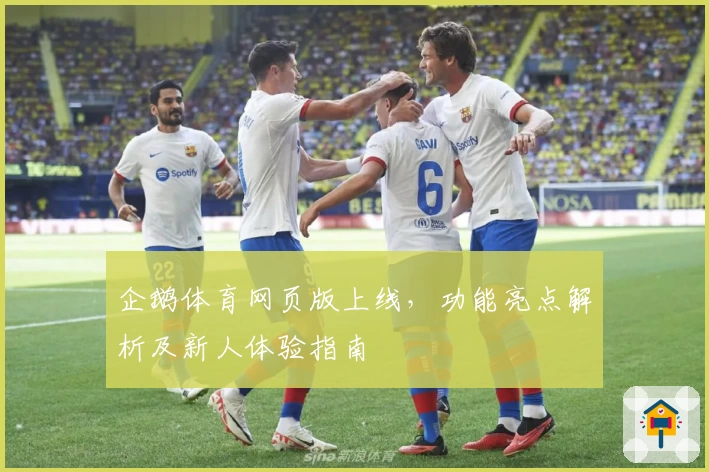 企鹅体育网页版上线,功能亮点解析及新人体验指南